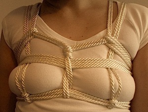 A copy of David Lawrence's harness