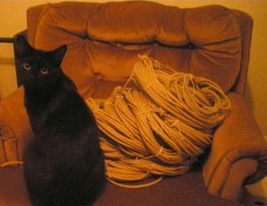10 kg of raw hemp rope, bundled to go to the laundrymat.  Also pictured, The Kitten.  Who loooves the ropes.